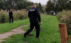 Umundurowani policjanci odwróceni tyłem, jeden z policjantów prowadzi przed sobą na smyczy psa