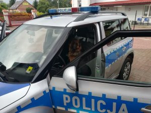 znaleziony pies przez policjantów siedzi na przednim fotelu w radiowozie