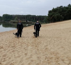 dwóch umundurowanych policjantów idzie z pasami na smyczy przy nodze, idą odwróceni tyłem po piaszczystym terenie