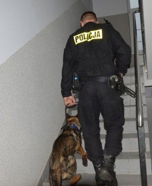 umundurowany pollicjant idzie po schodach w górę po jego lewej stronie przy nodze idzie pies służbowy