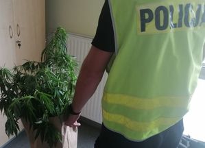 Policjant w żółtej kamizelce trzyma w lewej ręce torbę papierową z zielonymi roślinami.