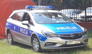 Radiowóz policyjny.