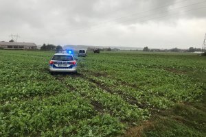 Zakopany samochód w polu i obok niego stoi radiowóz.