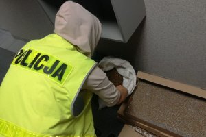 Policjant sprawdza zabezpieczony tytoń w worku.