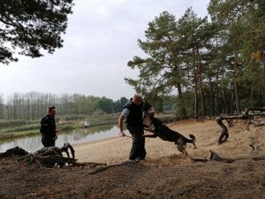 Policyjny pies biegnie do napastnika i rzuca się na niego, obezwładniając go. Za psem biegnie jego przewodnik.