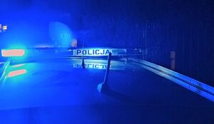 Policyjne sygnały świetlne na radiowozie migają na niebiesko.