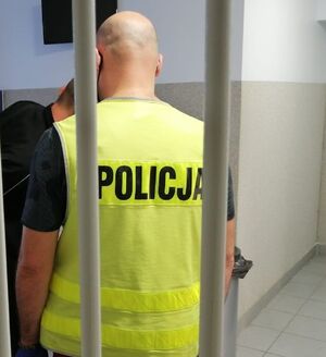 Nieumundurowany policjant z żółtą kamizelką z napisem policja stoi tyłem za okratowanymi drzwiami.