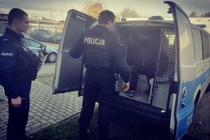 Zatrzymany mężczyzna wsiada do radiowozu, przy nim stoi dwóch umundurowanych policjantów.