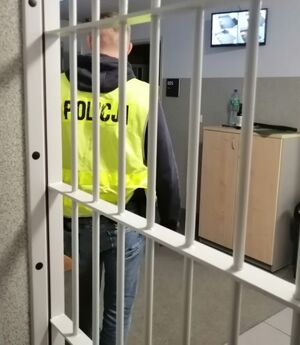 POLICJANT W ŻÓŁTEJ KAMIZELCE Z NAPISEM POLICJA STOI ZA ZAKRATOWANYMI DRZWIAMI.