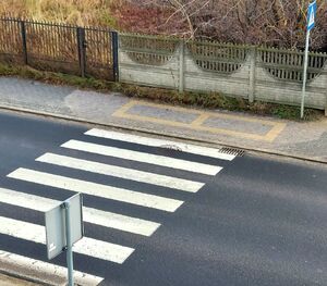 Białe pasy namalowane na jezdni.