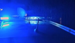 Sygnalizator świetlny z napisem policja z migającymi na niebiesko światłami.