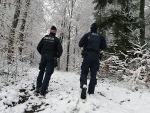 Policjanci idą leśną drogą, wokół drzewa pokryte są śniegiem.