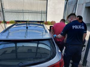 Policjanci stoją obok radiowozu, do którego wsiada zatrzymany mężczyzna.
