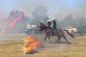 Policyjne konie przechodzą przez ogień.