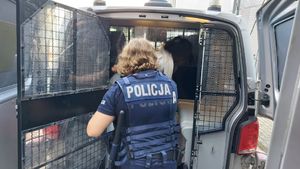 Policjantka wprowadza zatrzymaną do radiowozu.