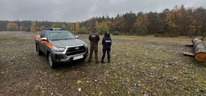 Policjant i strażnik leśny stoją obok samochodu na terenie lasu.