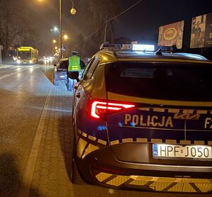 Policjant kontroluje kierującego samochodem.