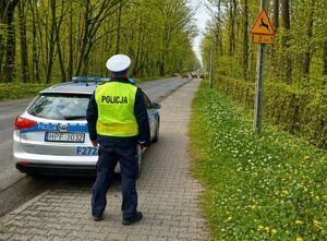 Policjant stoi obok radiowozu, przed nim są zwierzęta leśne.
