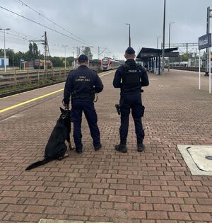 Policjanci i strażnicy ochrony kolei na służbie w rejonie torów kolejowych.