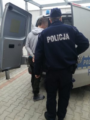 zatrzymany wprowadzany przez policjantów do radiowozu